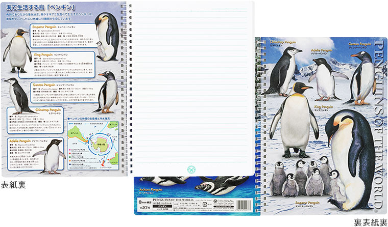 動物 生物 セミb5 リングノート ペンギン カロラータ オンラインショップ