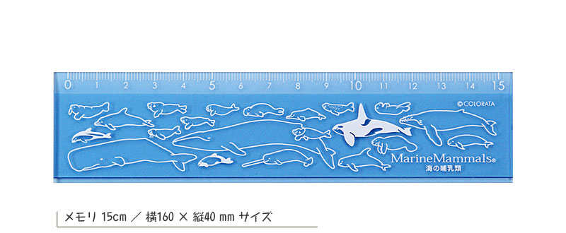 カラー定規15cm 海の哺乳類