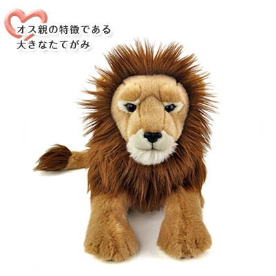 ライオン 親 ぬいぐるみ 正面〜オス親の特徴である大きなたてがみ ライオン 親 ぬいぐるみ 正面
