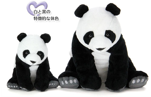  ジャイアントパンダ ぬいぐるみ 特徴〜白と黒の特徴的な体色