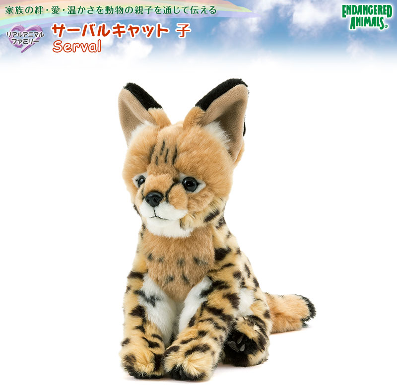 動物 生物 ぬいぐるみ リアルアニマルファミリー サーバルキャット 子 カロラータ オンラインショップ