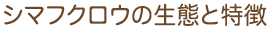 V}tNE̐ԂƓ