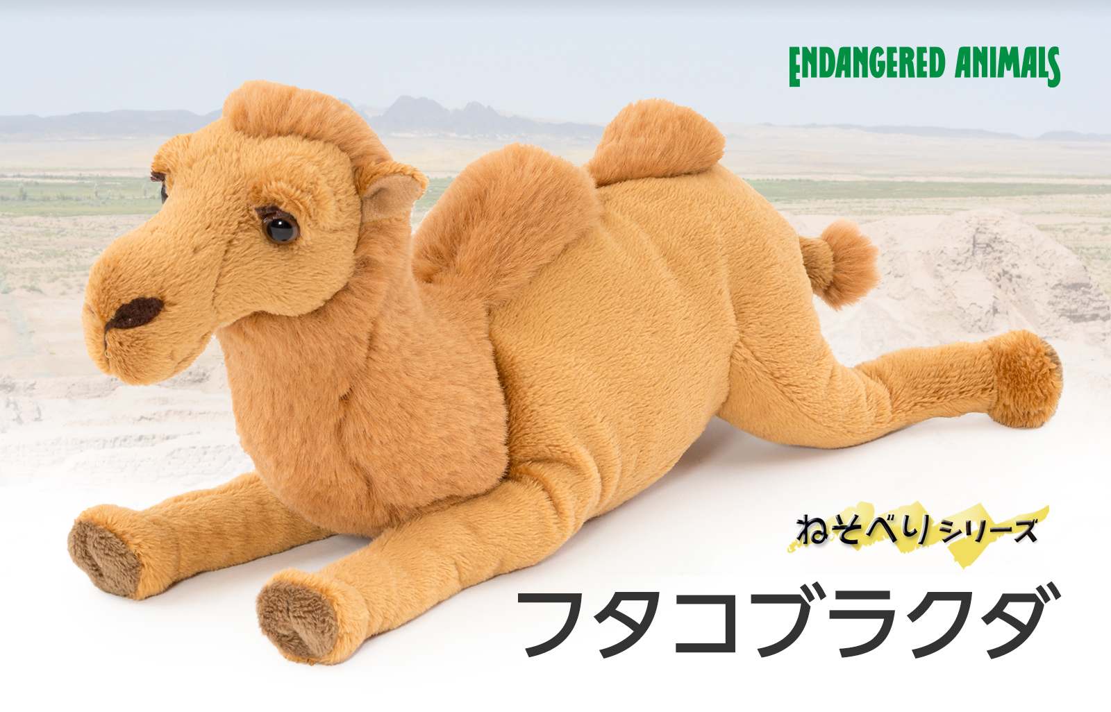 �ʂ������ �˂��ׂ�V���[�Y �t�^�R�u���N�_