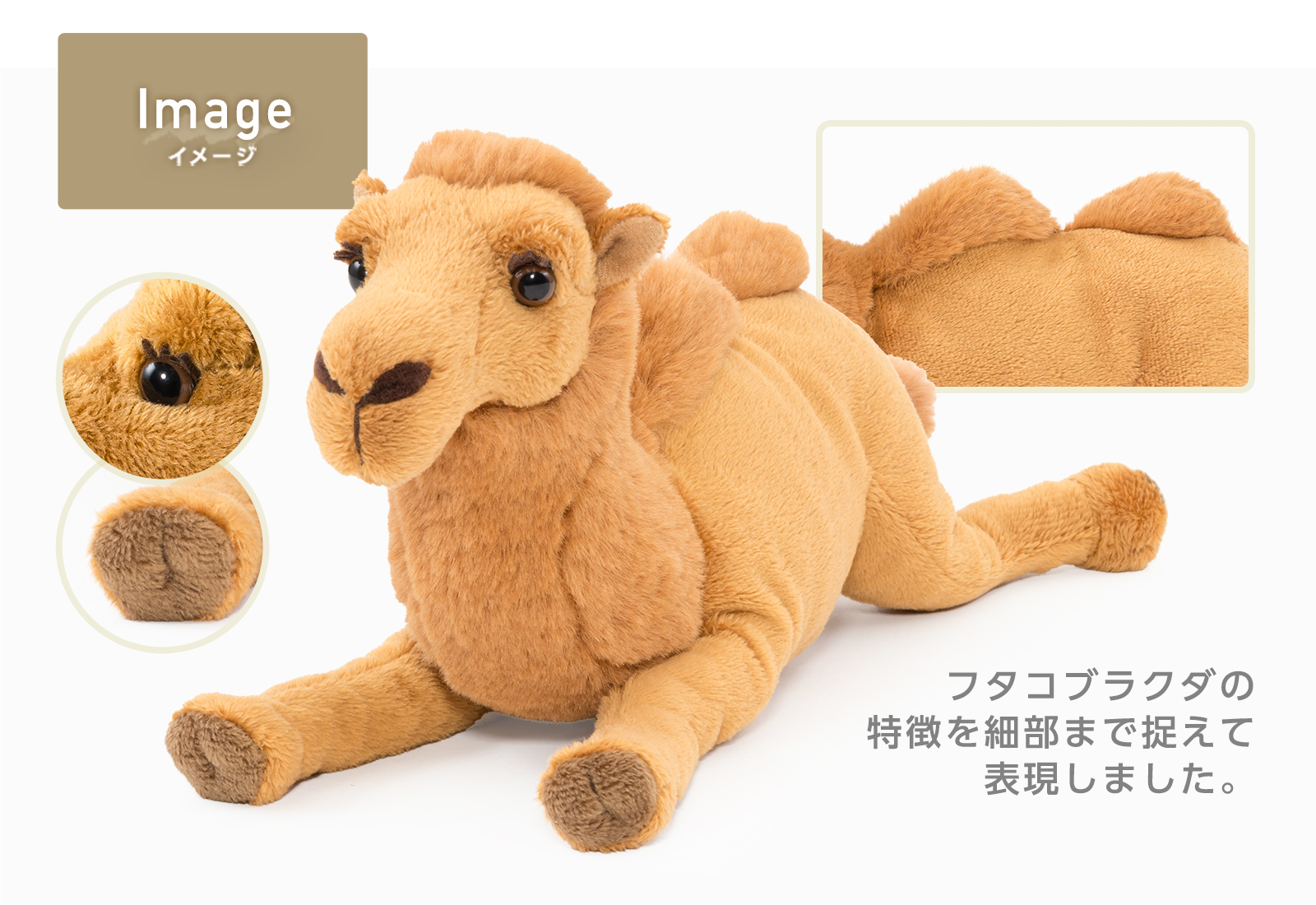 �ʂ������ �˂��ׂ�V���[�Y �t�^�R�u���N�_