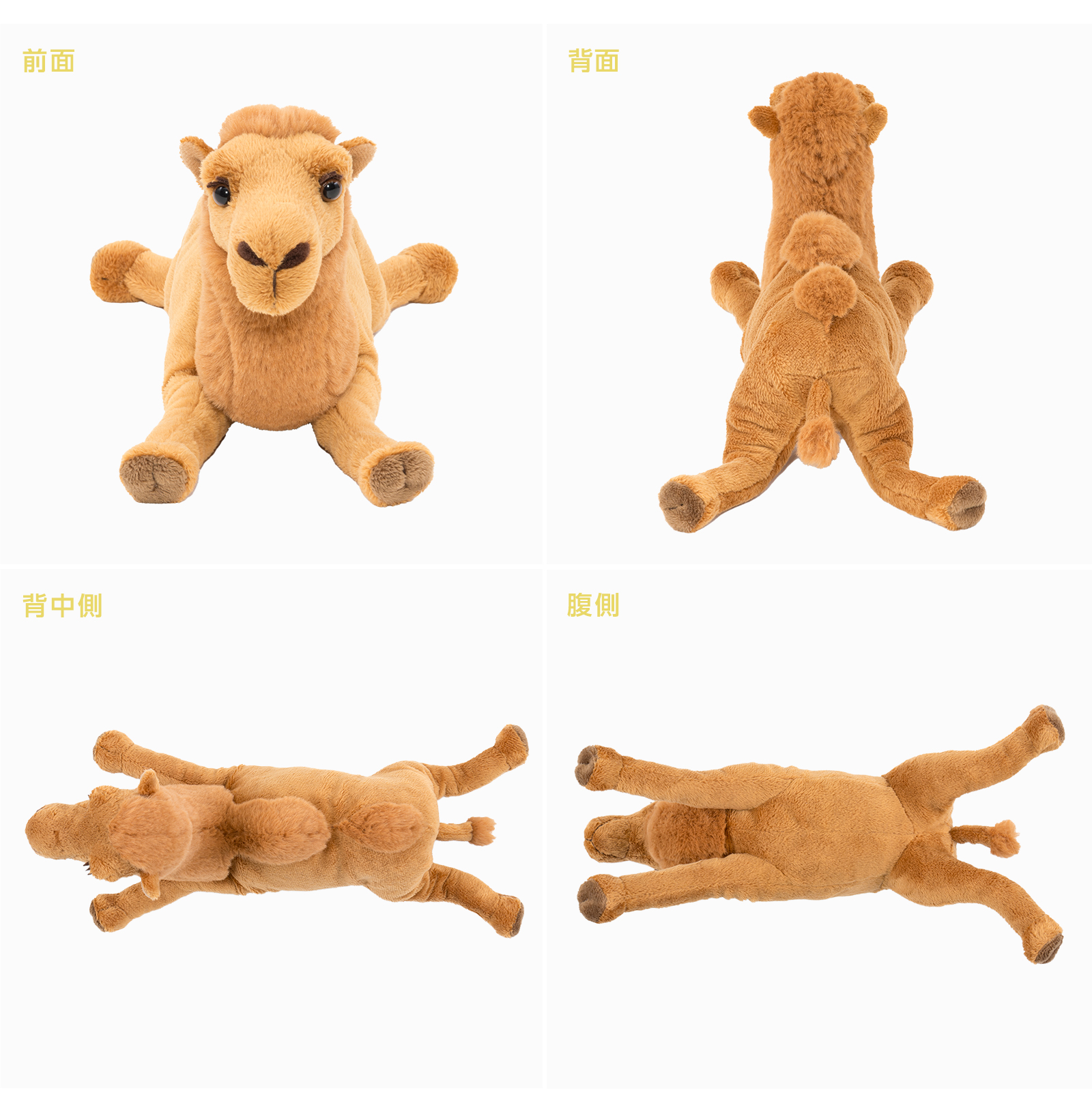 �ʂ������ �˂��ׂ�V���[�Y �t�^�R�u���N�_