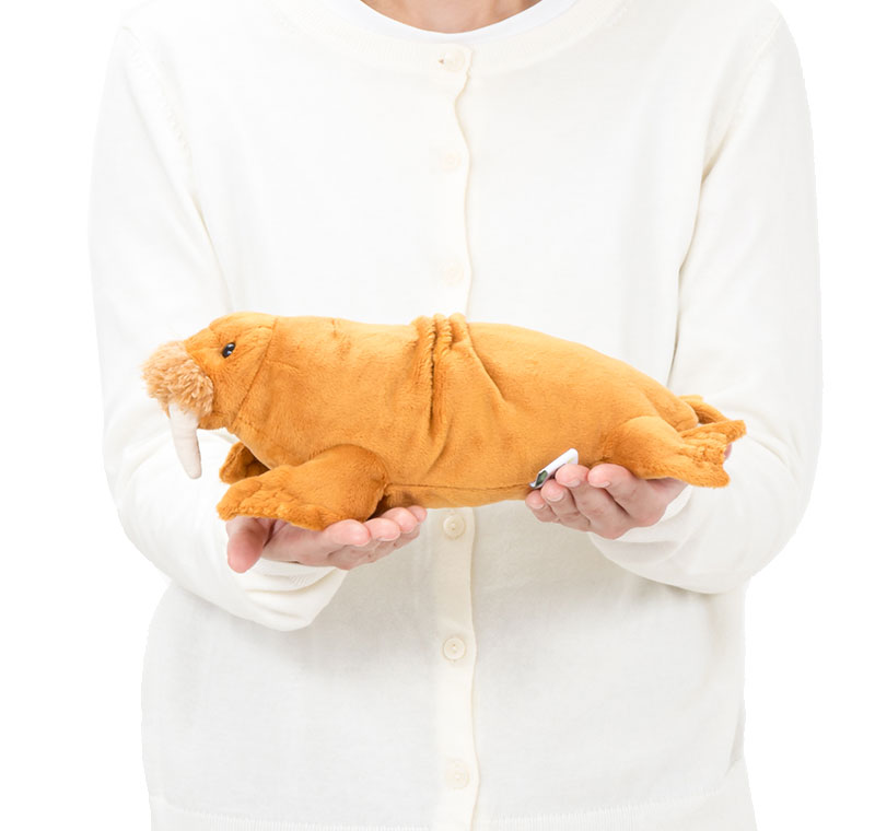 ���A�������ʂ������ �˂��ׂ�V���[�Y �Z�C�E�` �傫��