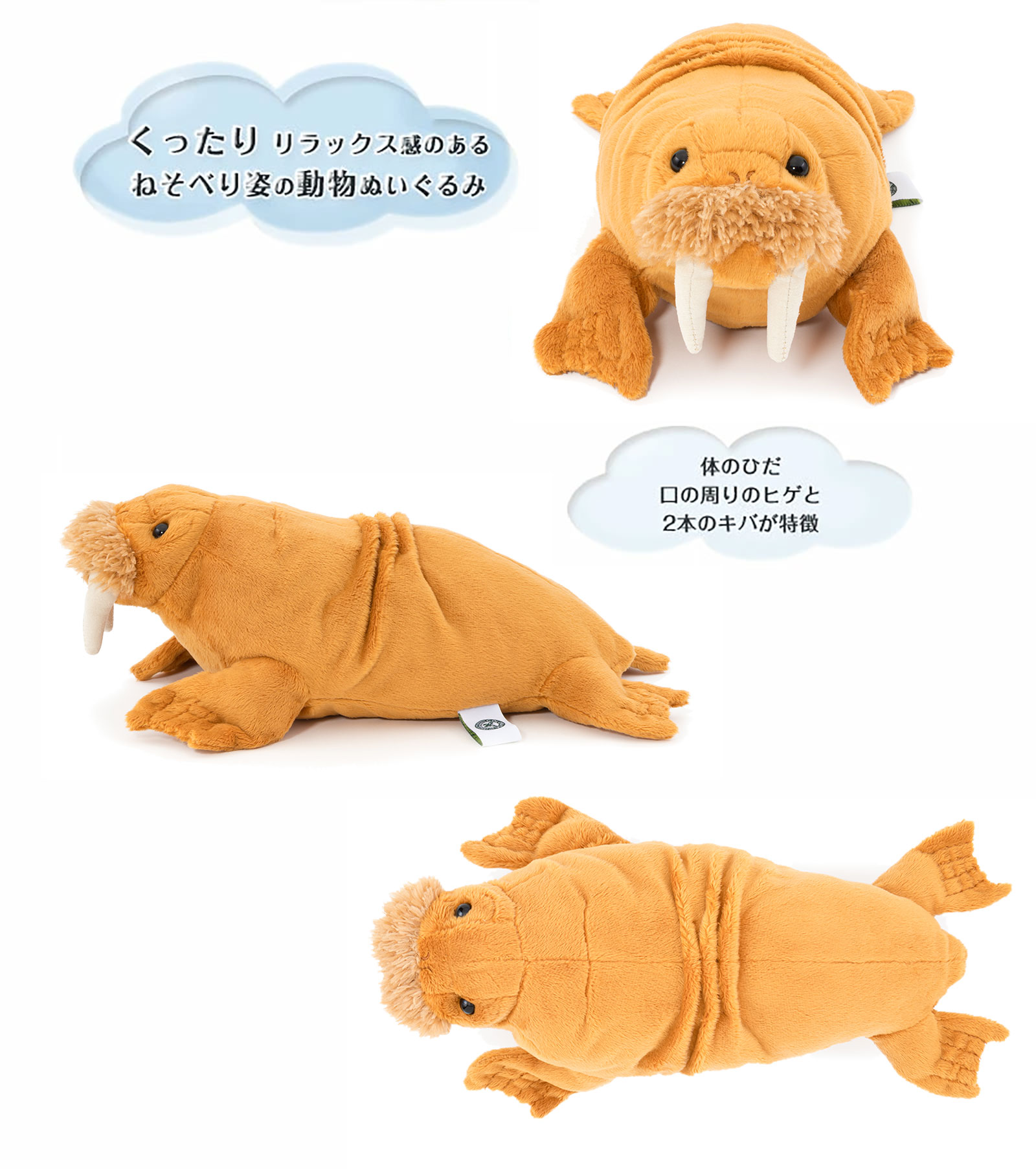 ���A�������ʂ������ �˂��ׂ�V���[�Y �Z�C�E�`�ʂ������