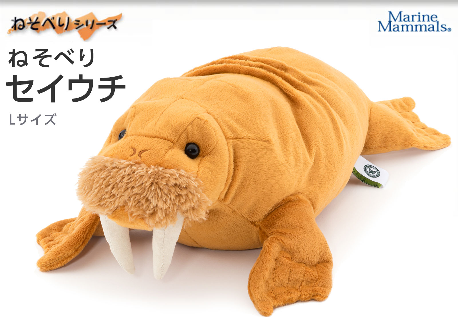 ���A�������ʂ������ �˂��ׂ�V���[�Y �Z�C�E�`�ʂ������