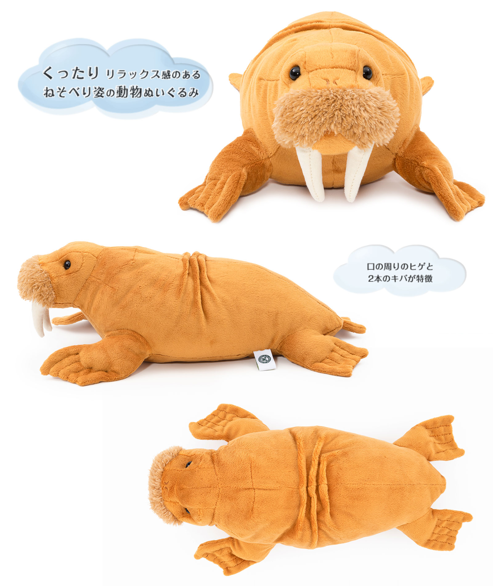 ���A�������ʂ������ �˂��ׂ�V���[�Y �Z�C�E�`�ʂ������