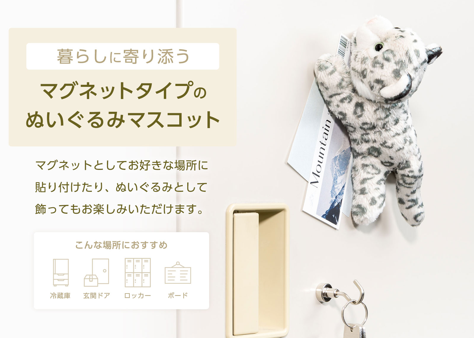 �C���[�W