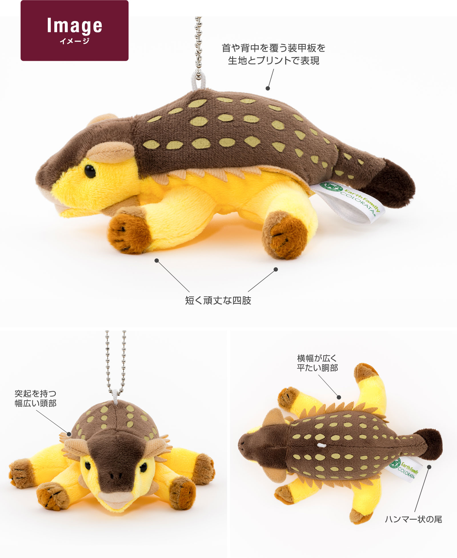 �C���[�W