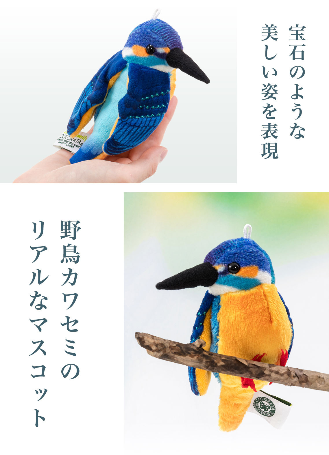 JZ~ C[W