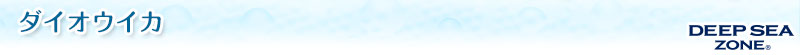 C̐ ʂ݃}XRbg _CIECJ