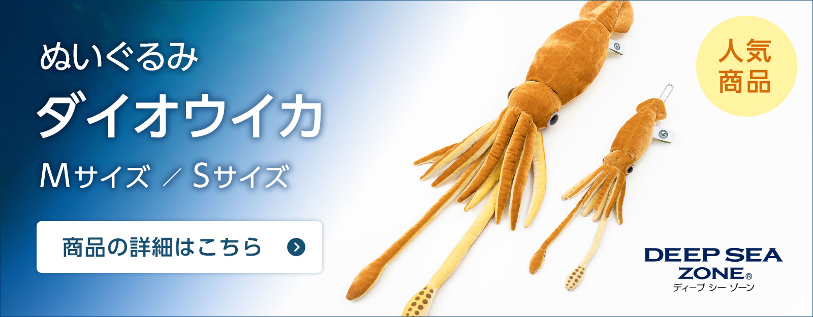 ʂ _CIECJ M/S