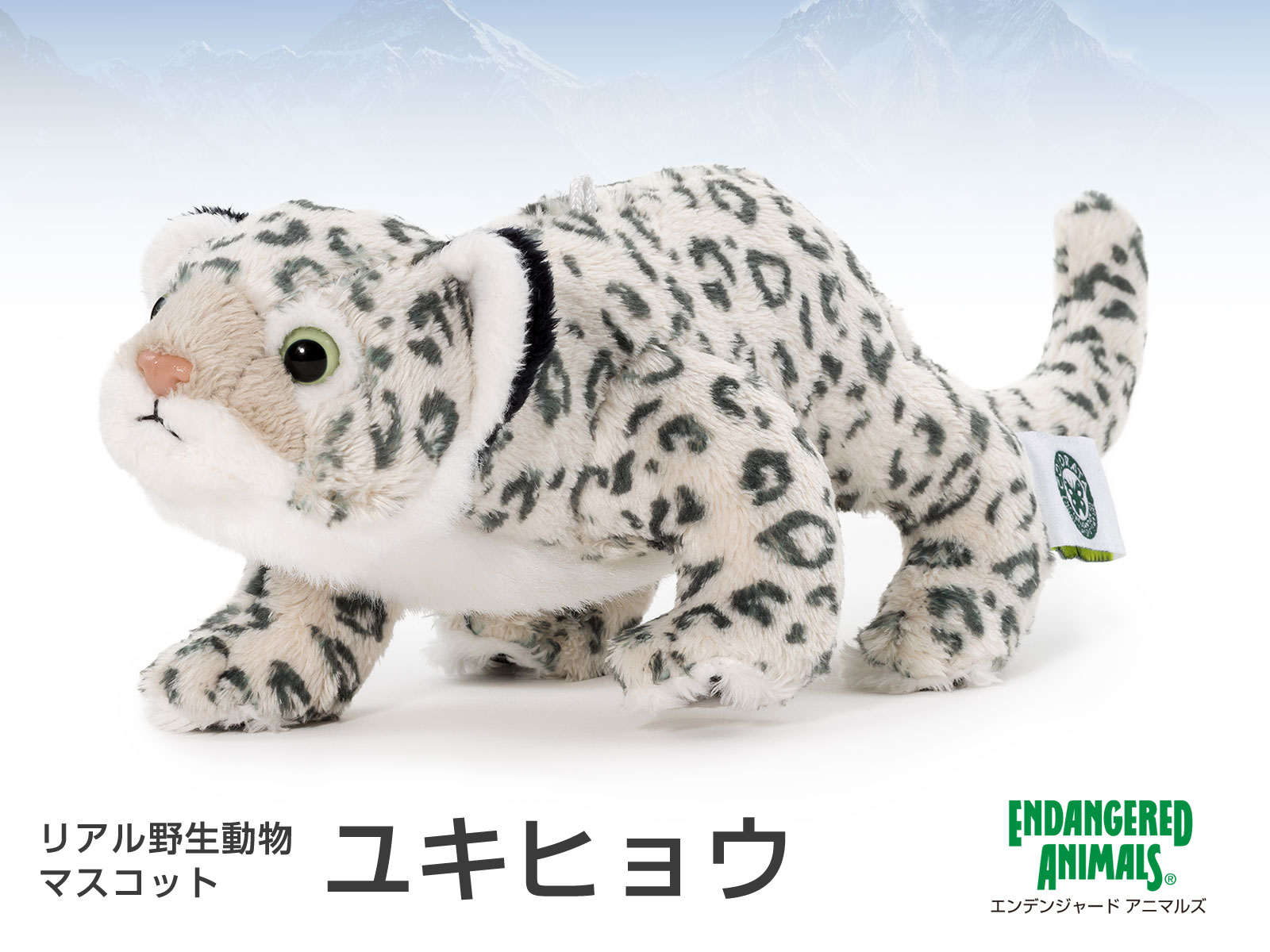 ���A���쐶�����}�X�R�b�g ���L�q���E