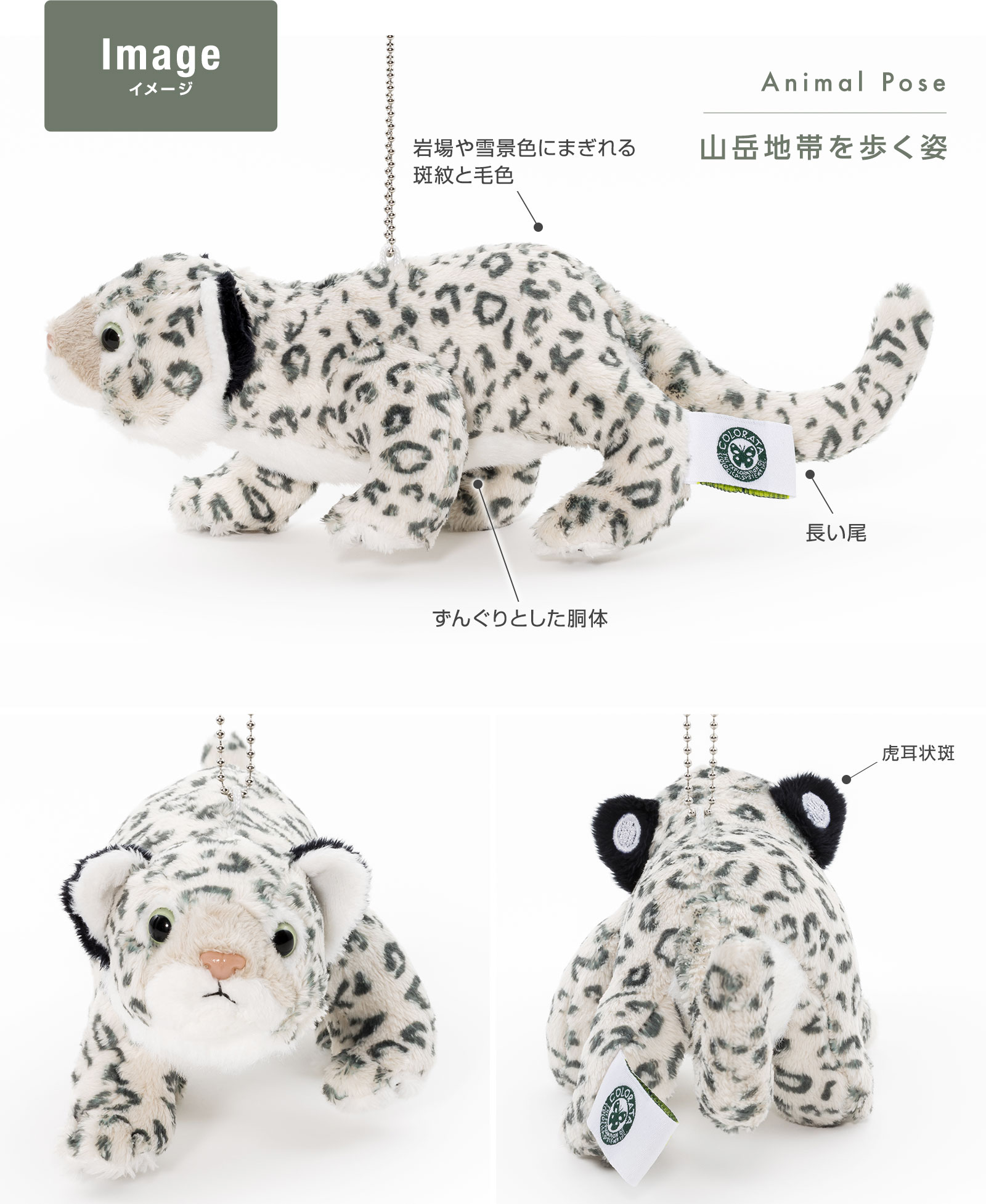 �r�W���A���J�b�g