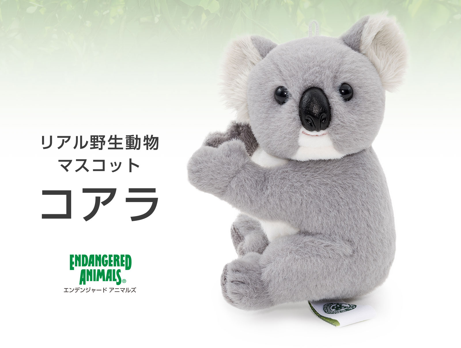 ���A���쐶�����}�X�R�b�g �R�A��