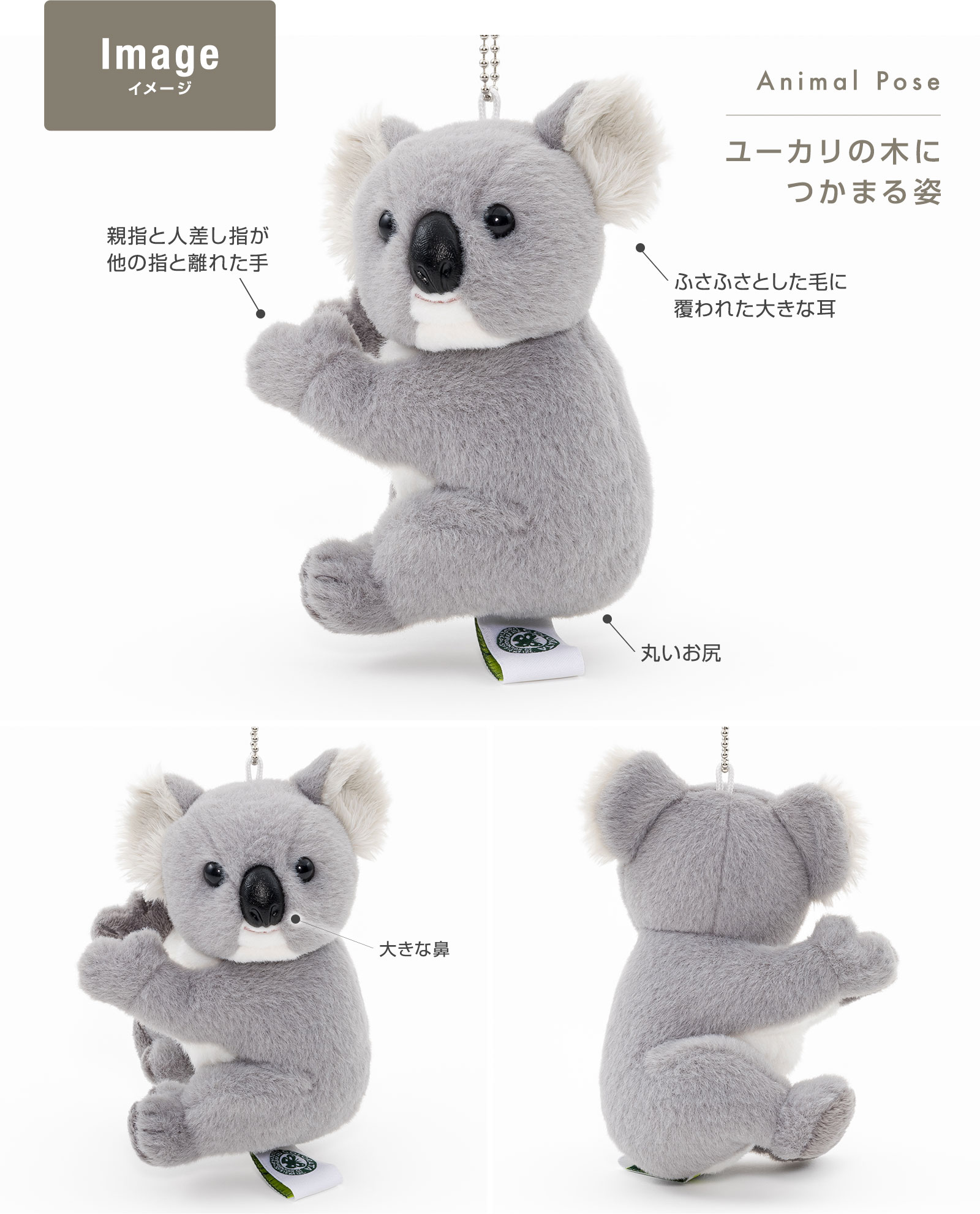 �r�W���A���J�b�g