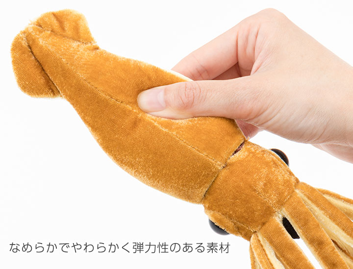 Ȃ߂炩ł炩e͐̂f