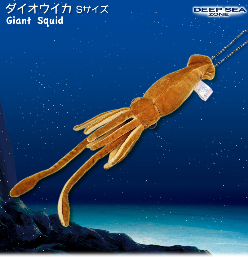リアル 動物 生物 ぬいぐるみ ダイオウイカ Sサイズのぬいぐるみ リアル 動物 生物 ぬいぐるみ ダイオウイカ Sサイズのぬいぐるみ