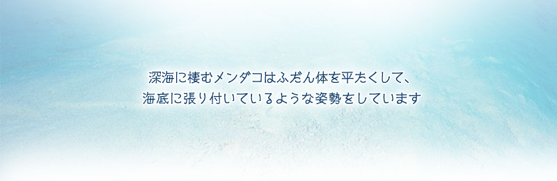[CŌ镽RȎp̃A_R