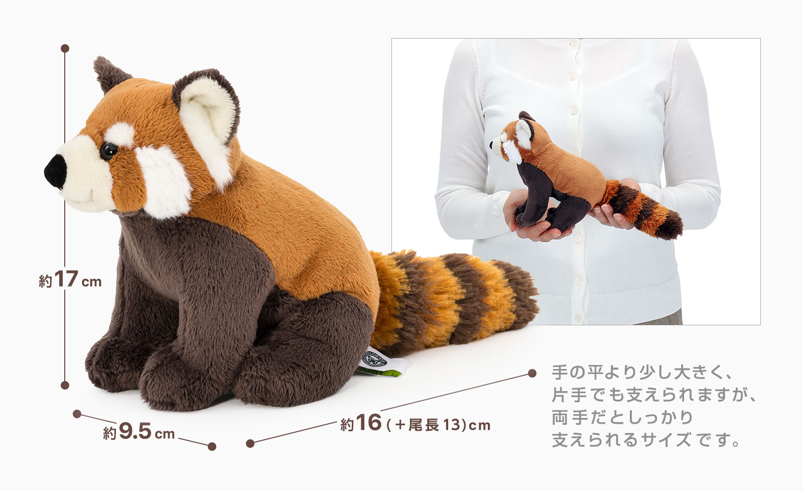 ���A�������ʂ������ �������V���[�Y ���b�T�[�p���_�ʂ������