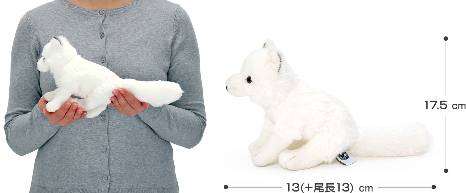 ���A�������ʂ������ �������V���[�Y �z�b�L���N�M�c�l