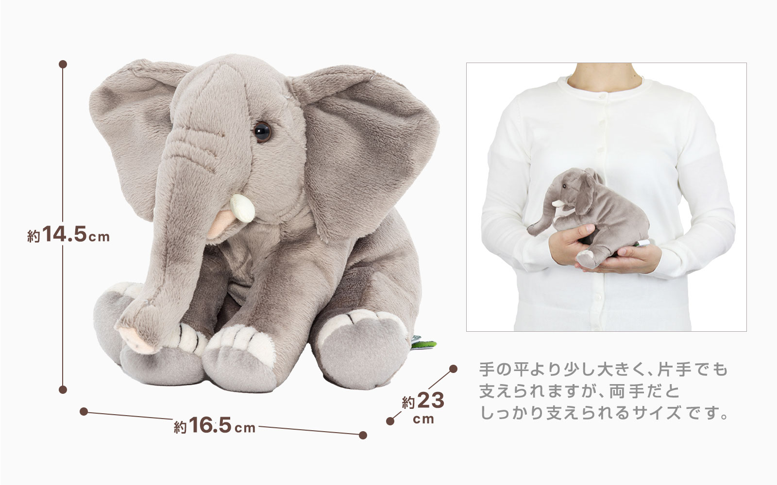 ���A�������ʂ������ �������V���[�Y �A�t���J�]�E�ʂ������