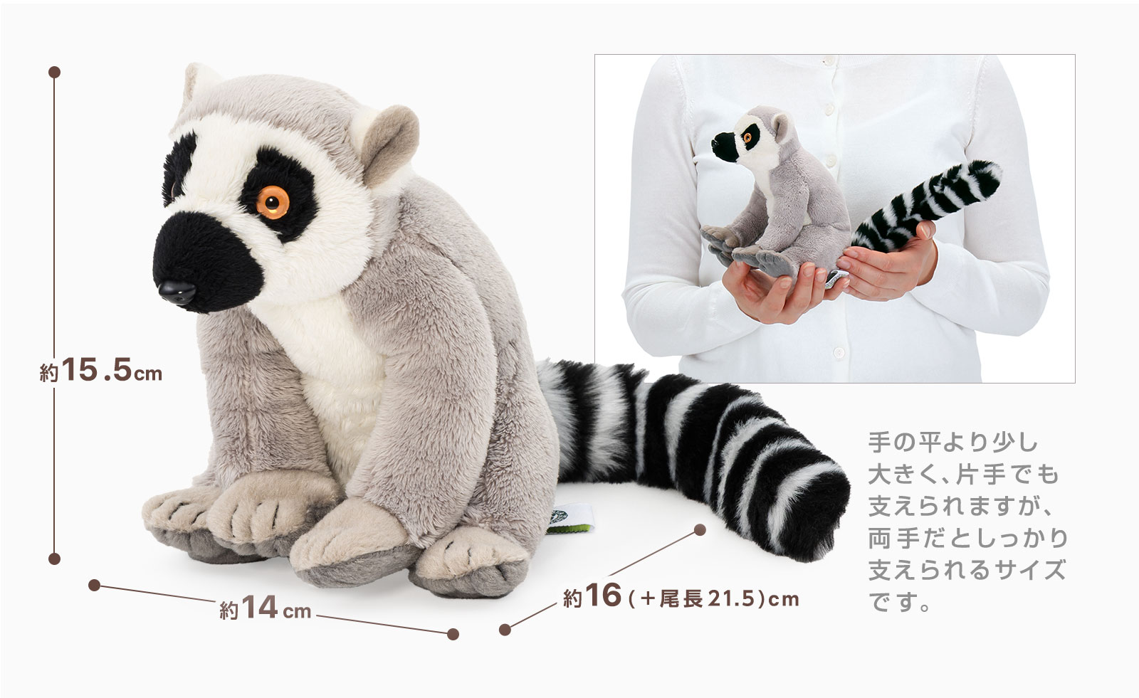 ���A�������ʂ������ �������V���[�Y ���I�L�c�l�U���ʂ������