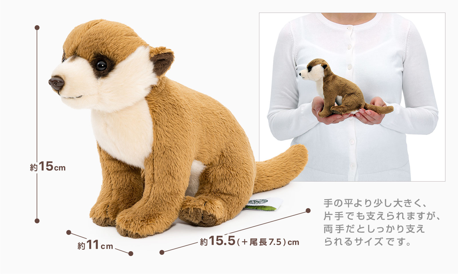 ���A�������ʂ������ �������V���[�Y �~�[�A�L���b�g�ʂ������