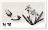 ネクタイ 植物