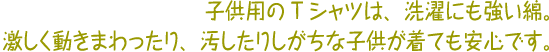 qpTVcfނ̓