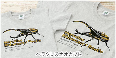 ~[WAfUC TVc wNXIIJug CgO[