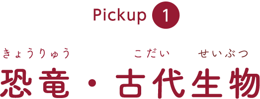 pickup1 �����E�Ñ㐶��