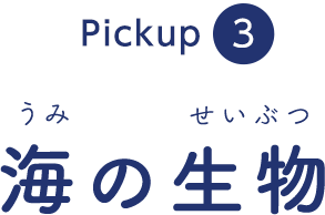 pickup3 �C�̐���