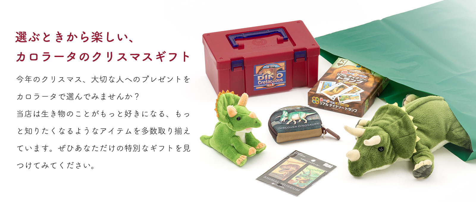 �J���C���[�W