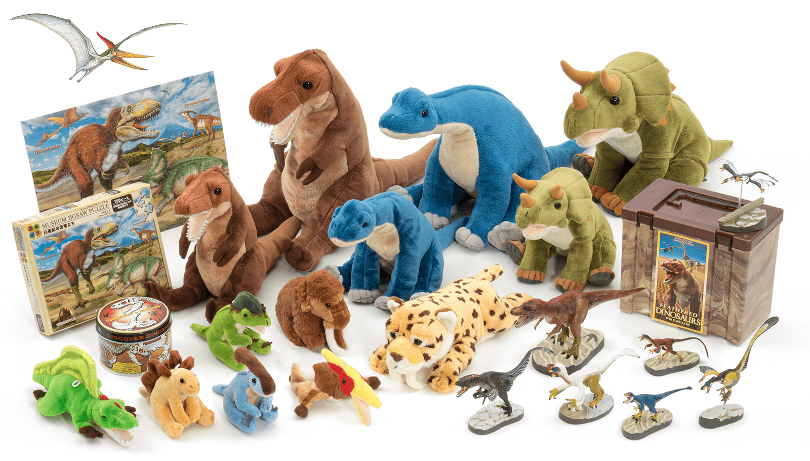 �����E�Ñ㐶��