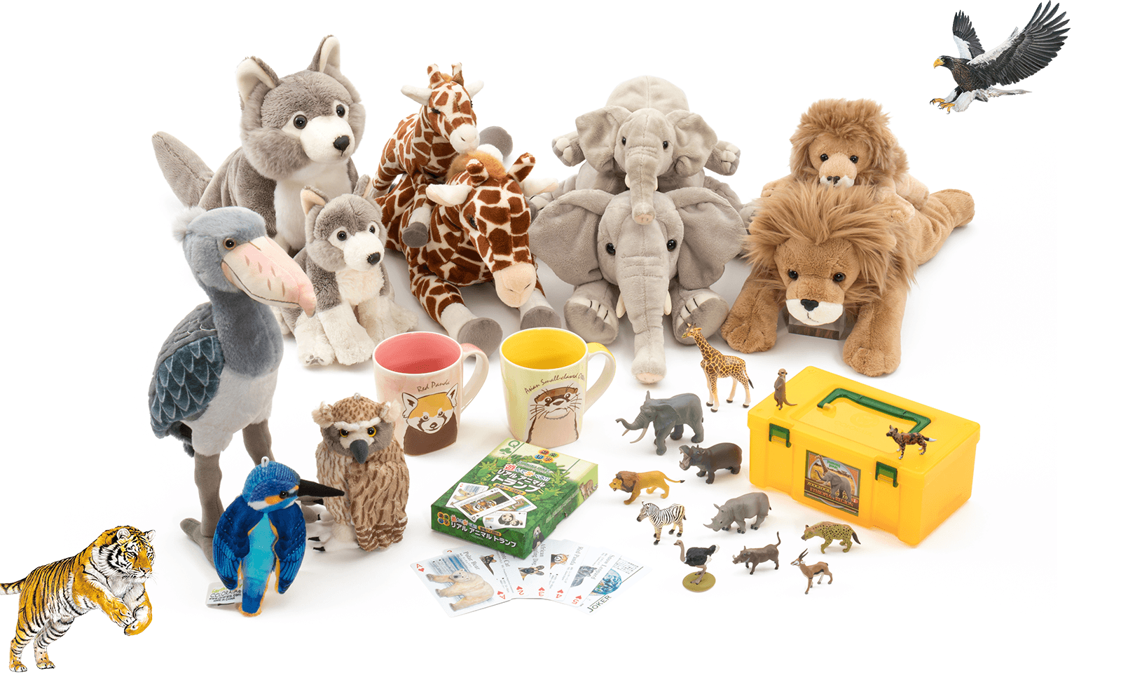 ���̐���