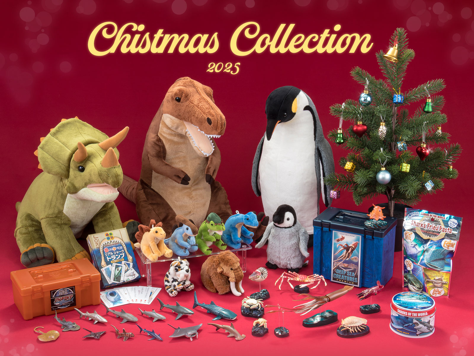 �J�����[�^ �N���X�}�X 2025