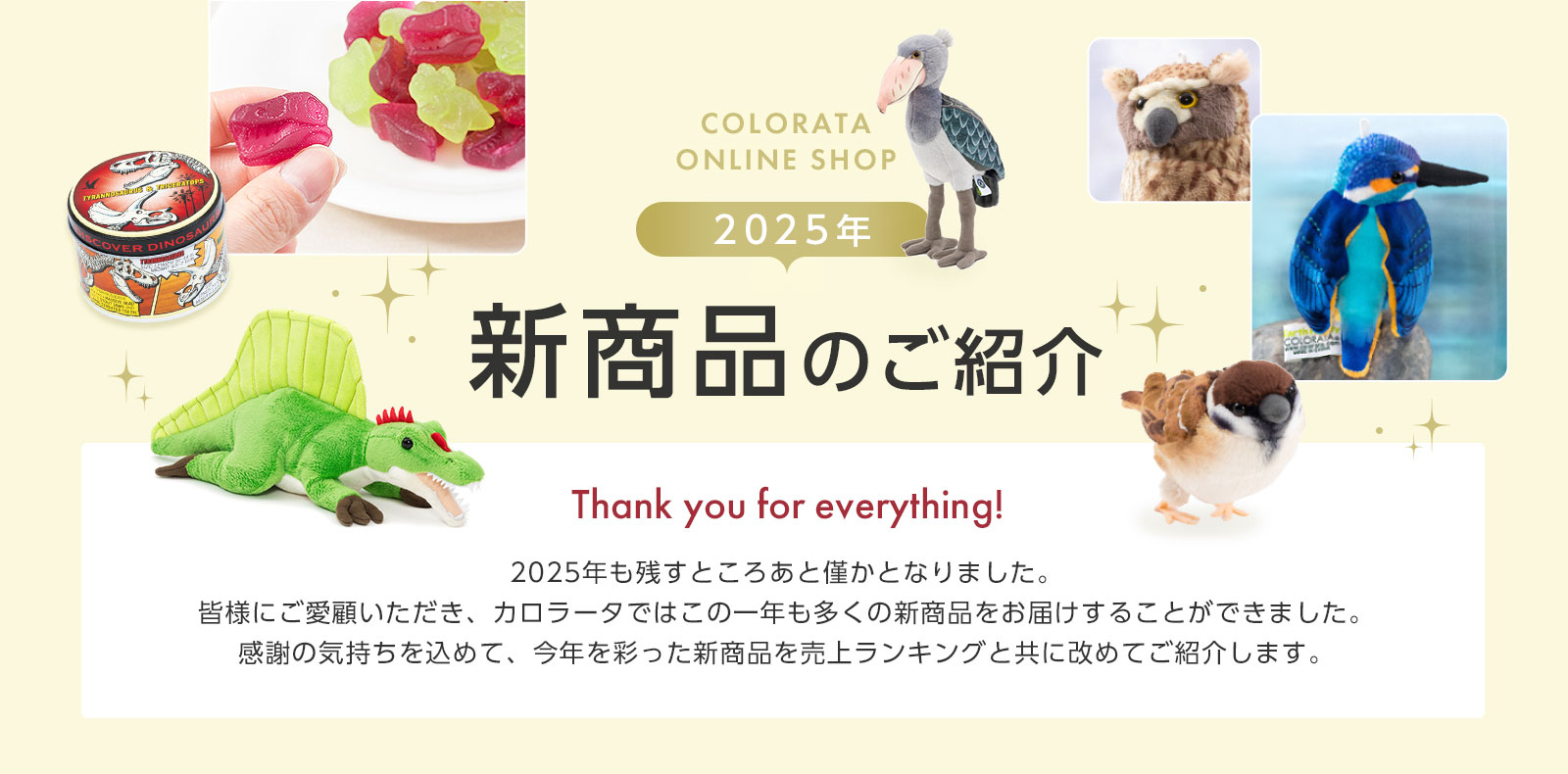 2025�N�V���i�̂��Љ�