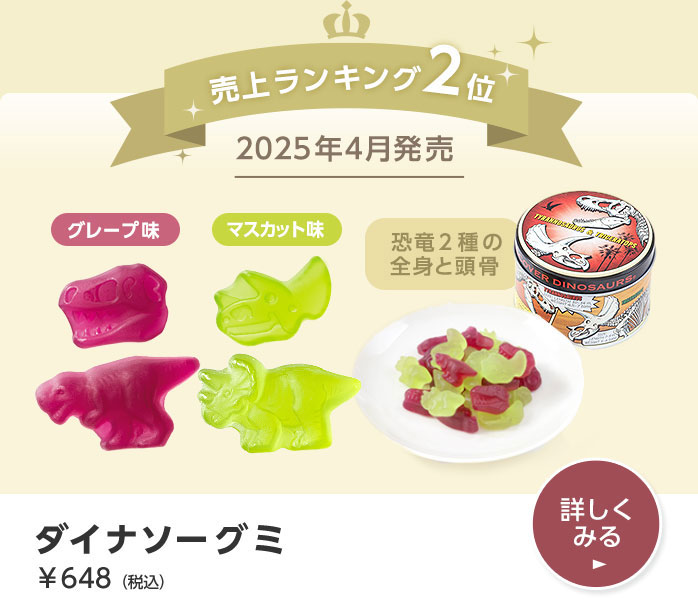 �_�C�i�\�[�O�~