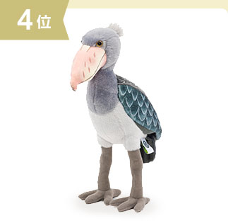 �n�V�r���R�E