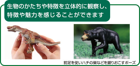 ̐} F