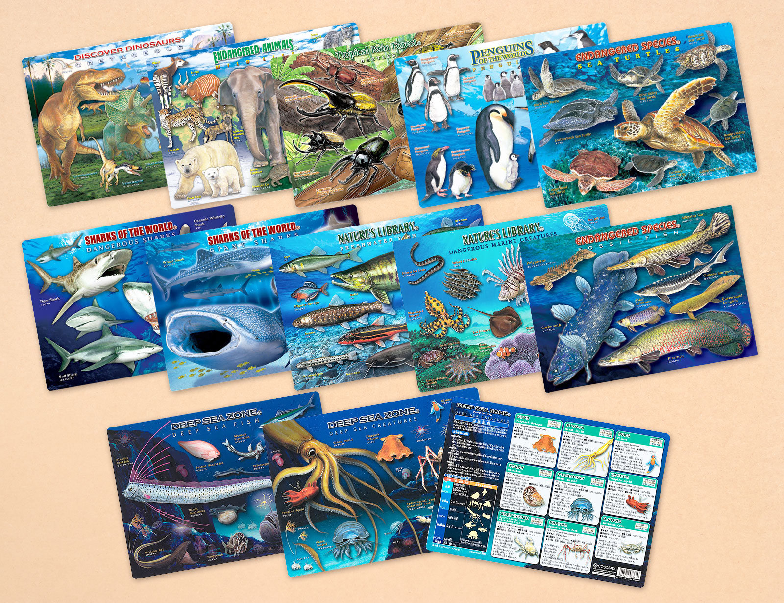 �A�j�}���K�C�h�V�[�g�i���~���j