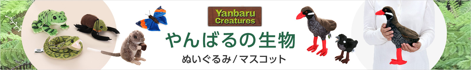 リアル 動物 生物 ぬいぐるみマスコット やんばるの生物