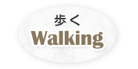  Walking쐶̕p}XRbg