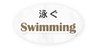 j Swimming쐶̉jp}XRbg