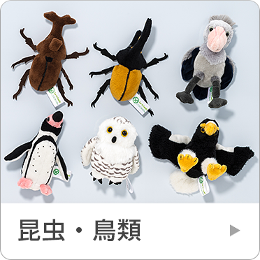 �����E����