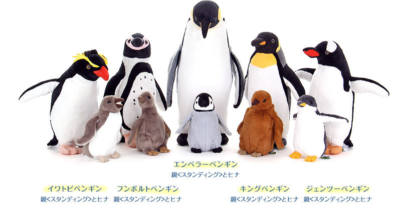 動物 生物 ぬいぐるみ リアルペンギンファミリー エンペラーペンギン ヒナ カロラータ オンラインショップ