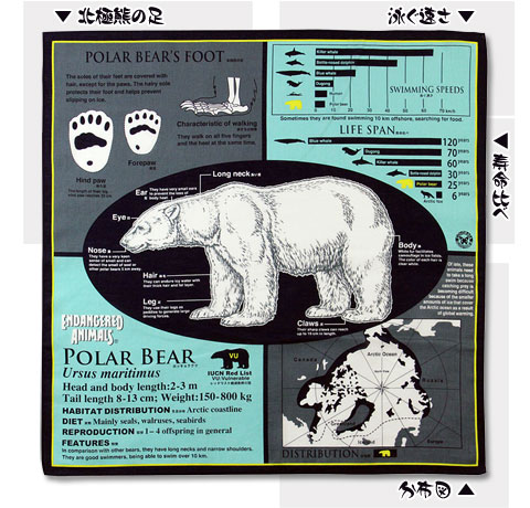 動物 生物 サイエンスハンカチ ホッキョクグマ ネイビー / カロラータ